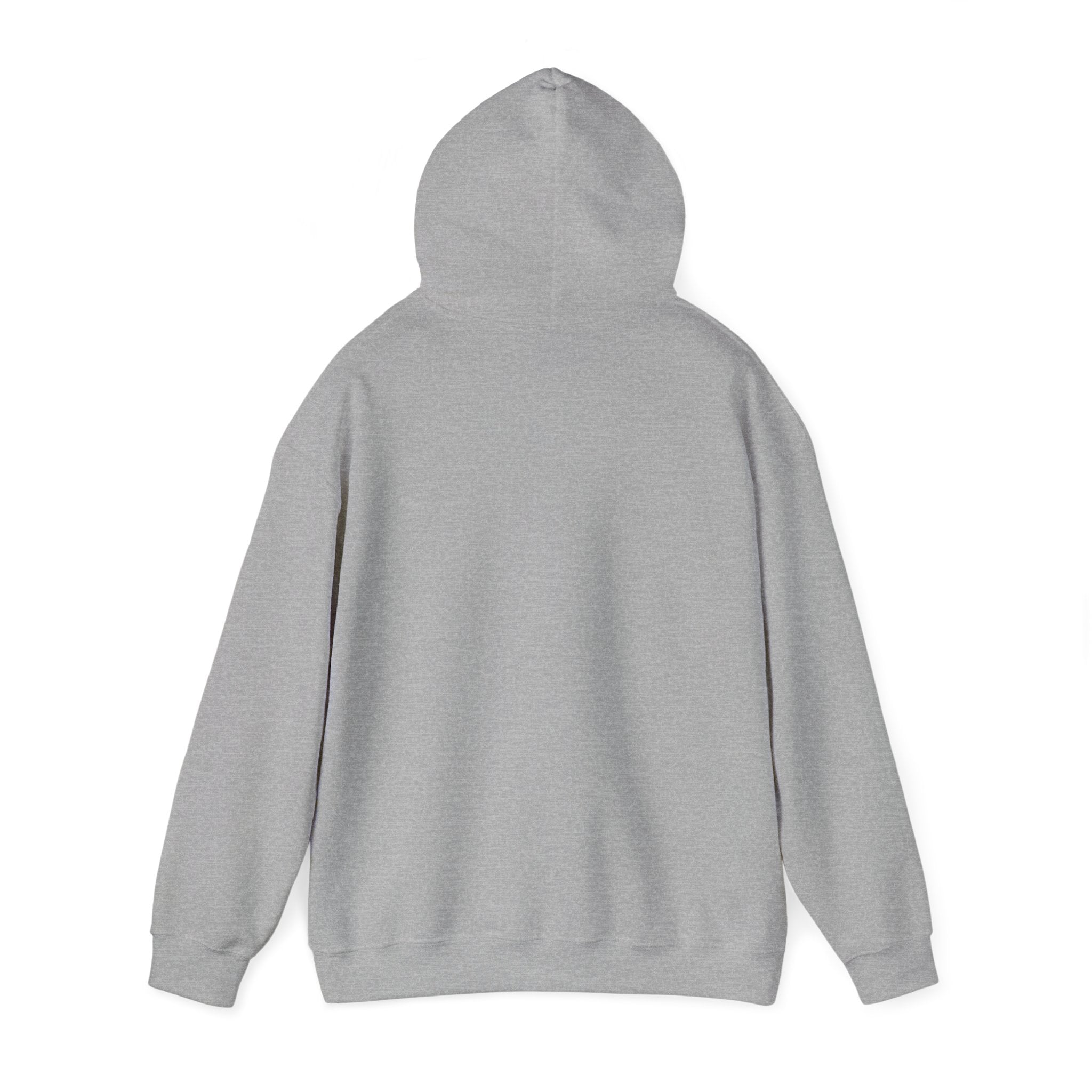 π Crowned in Light Hoodie (Merch)