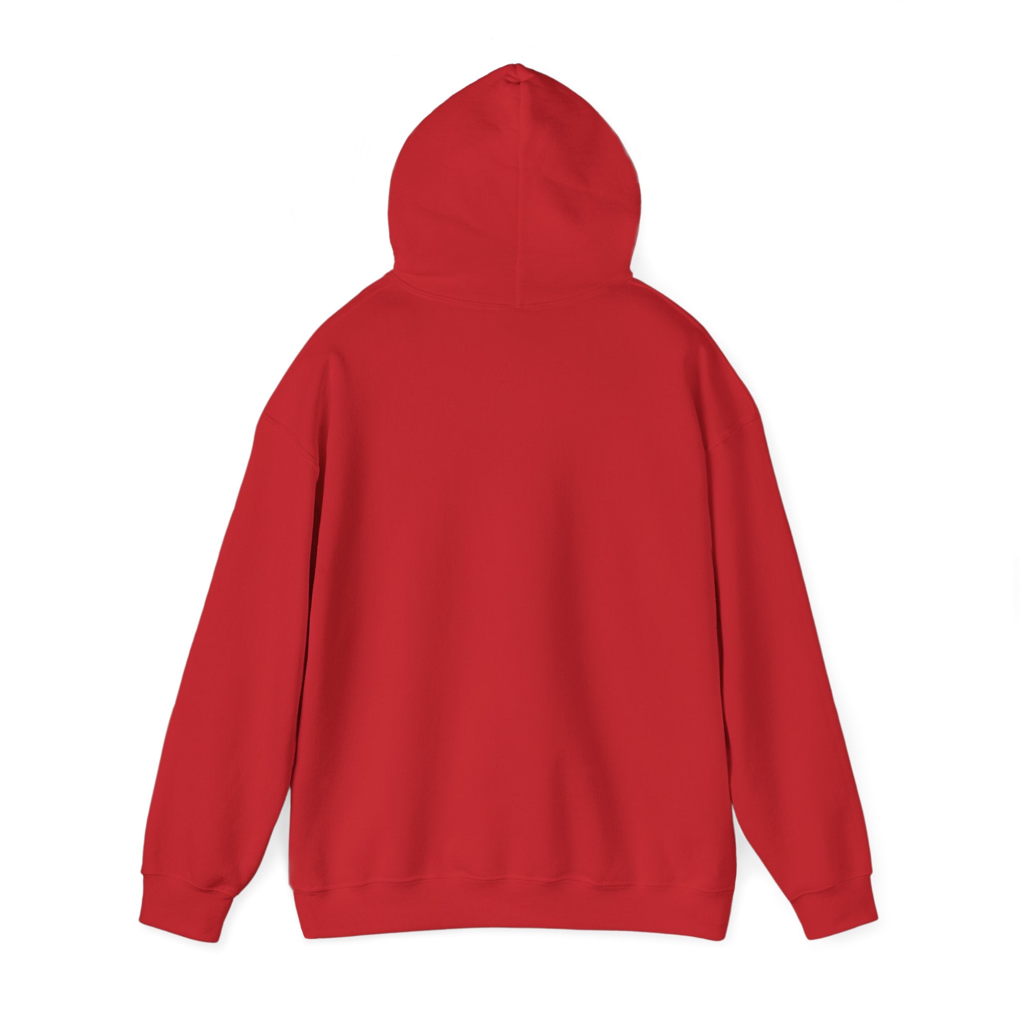👑 Crowned in Light Hoodie (Merch)