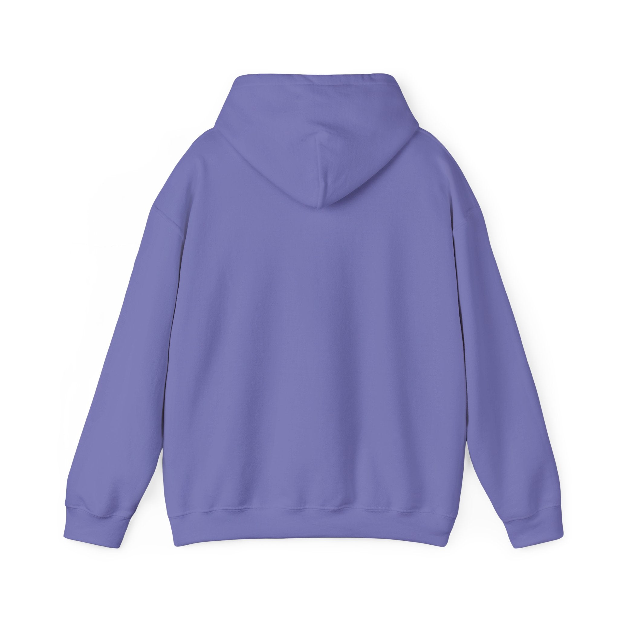 👑 Crowned in Light Hoodie (Merch)