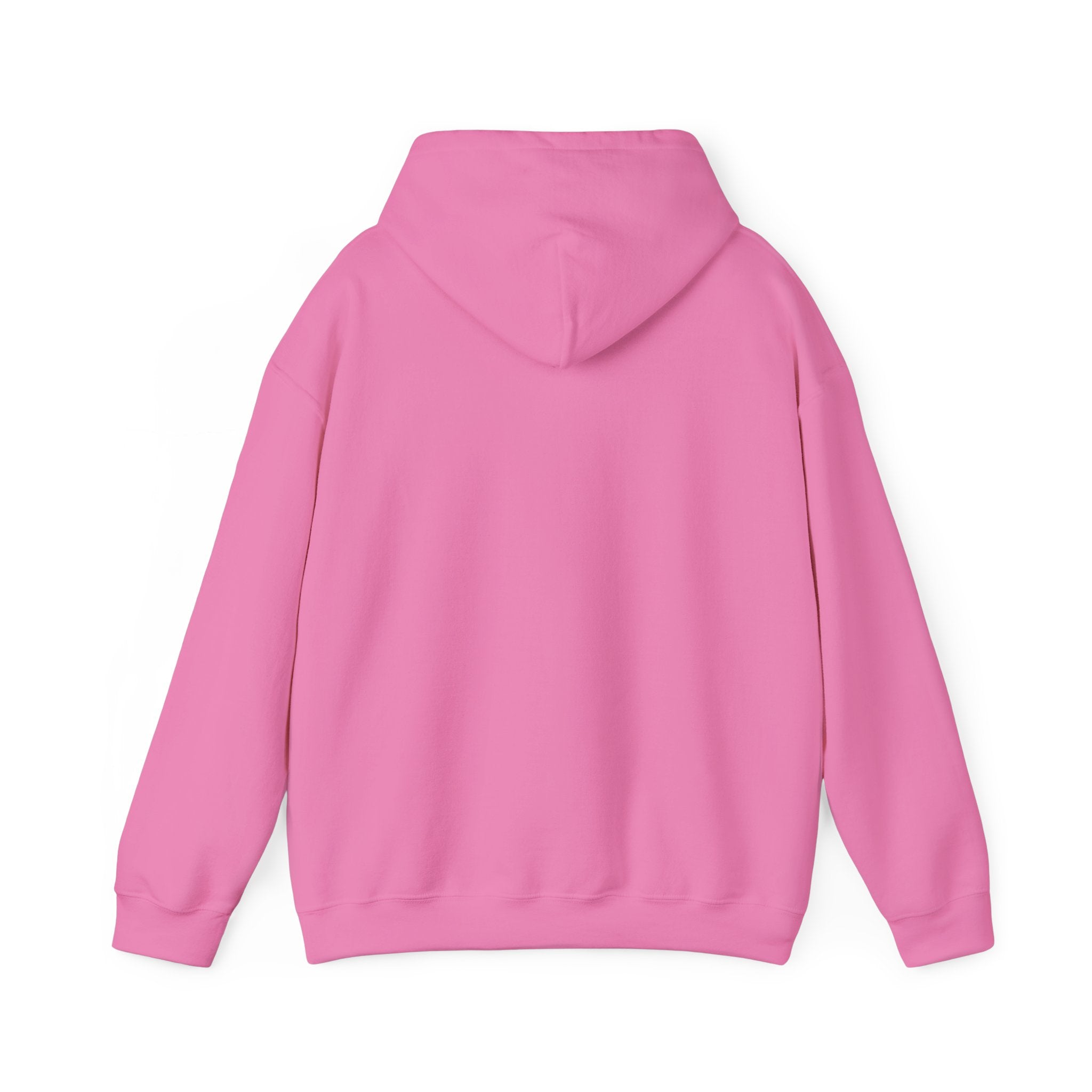 👑 Crowned in Light Hoodie (Merch)