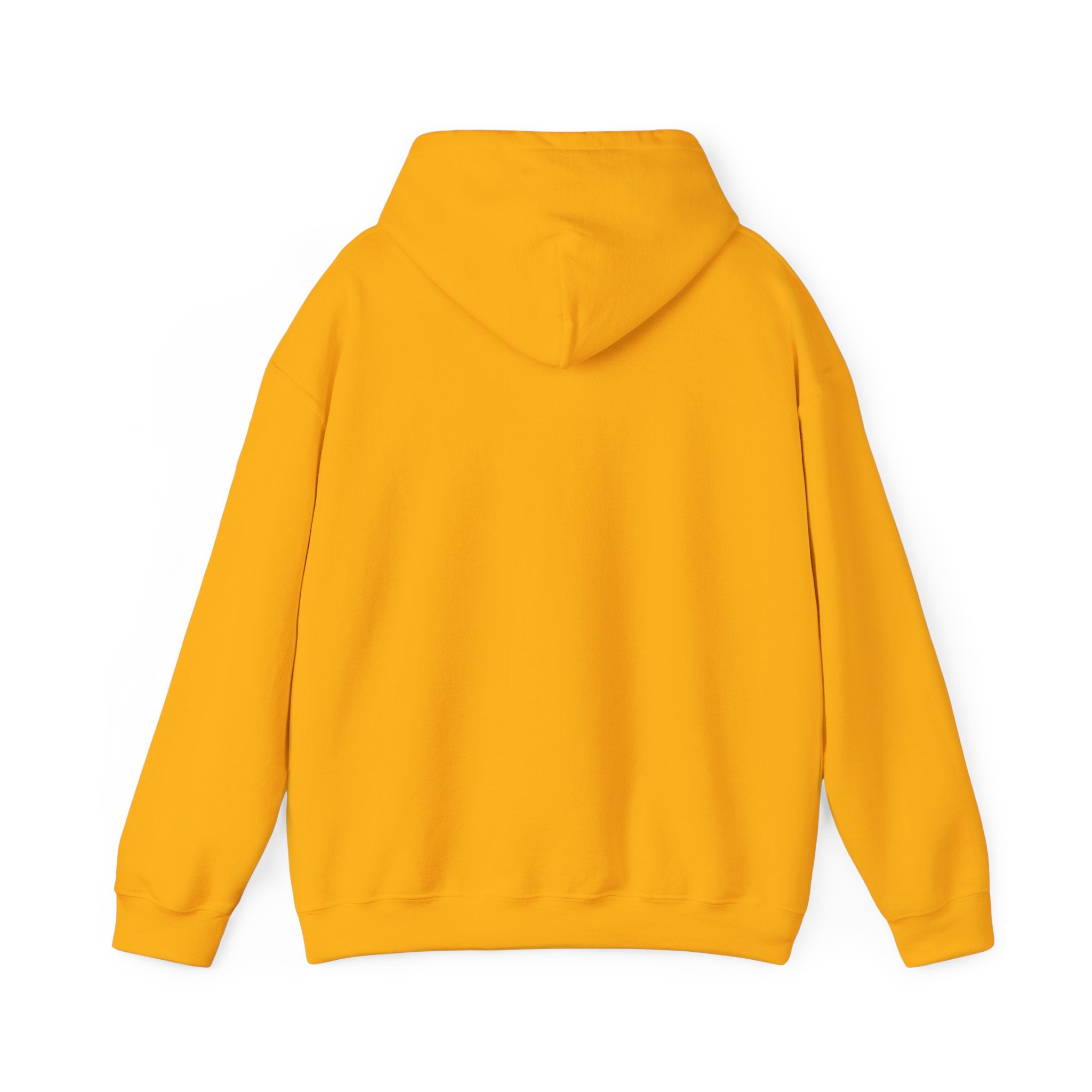 👑 Crowned in Light Hoodie (Merch)
